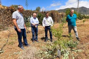 Plantación de 4.400 almendreros, nogales, higueras y olivos en Valsequillo (Foto TA)